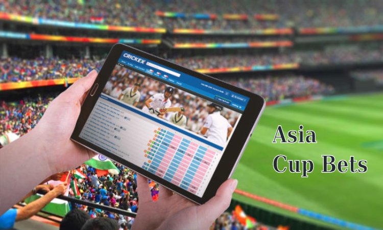 Asia Cup Betting Categories - Description And Explanation
